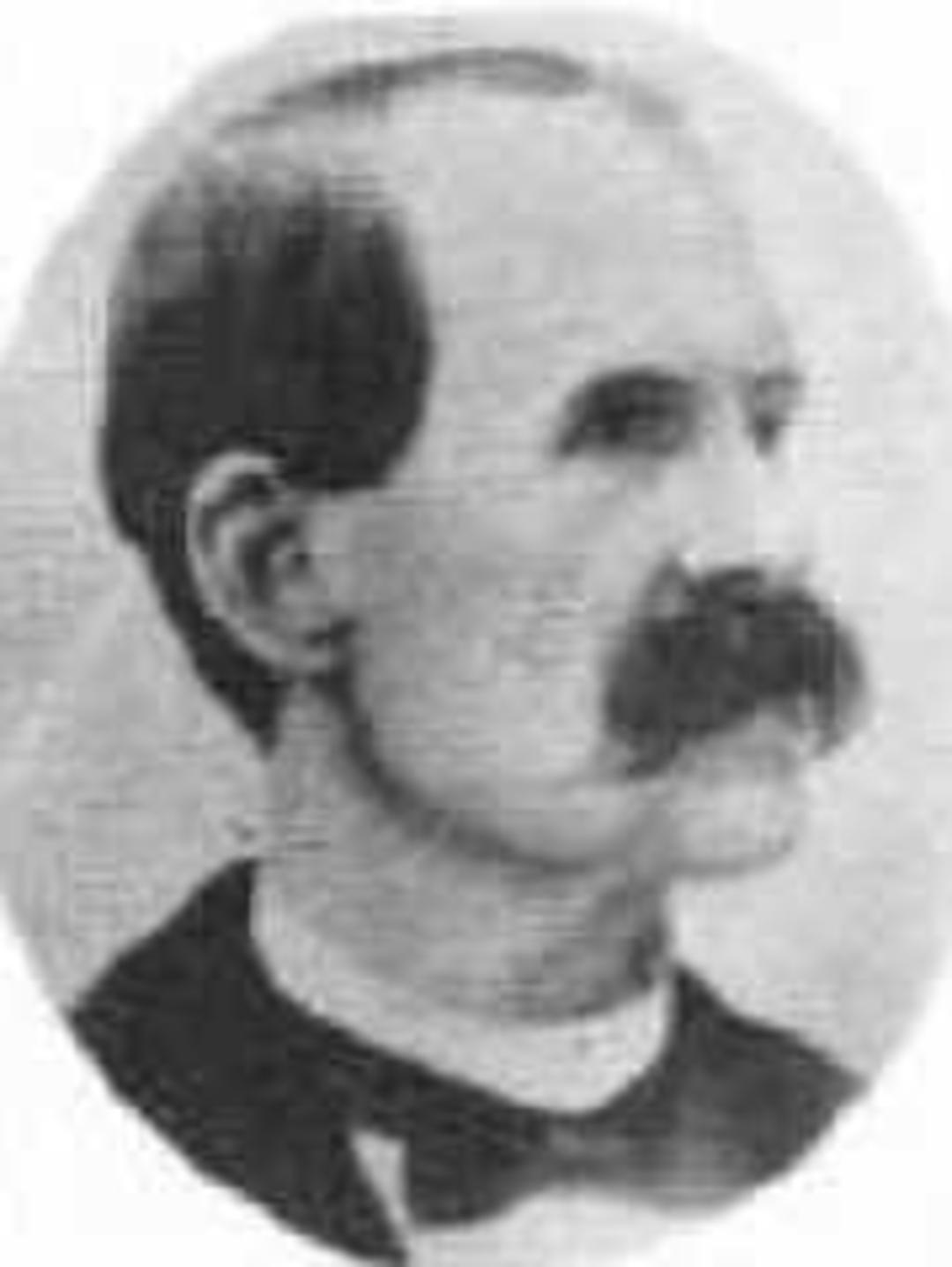 Albert Edward Draper (1840 - 1913) Profile